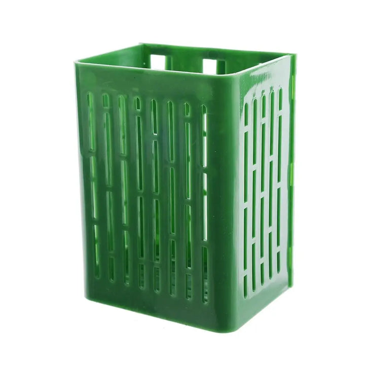1+1 GRATUIT | TankBloom – Beauté naturelle sans entretien !