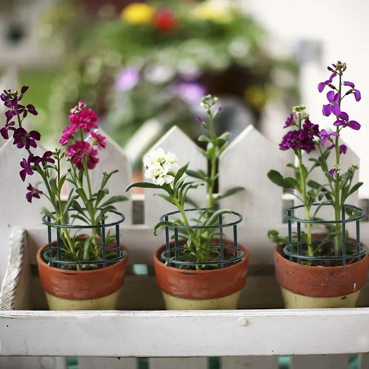 Support de Plantes Floriva | Stable & Réutilisable | Pour Fleurs & Serre