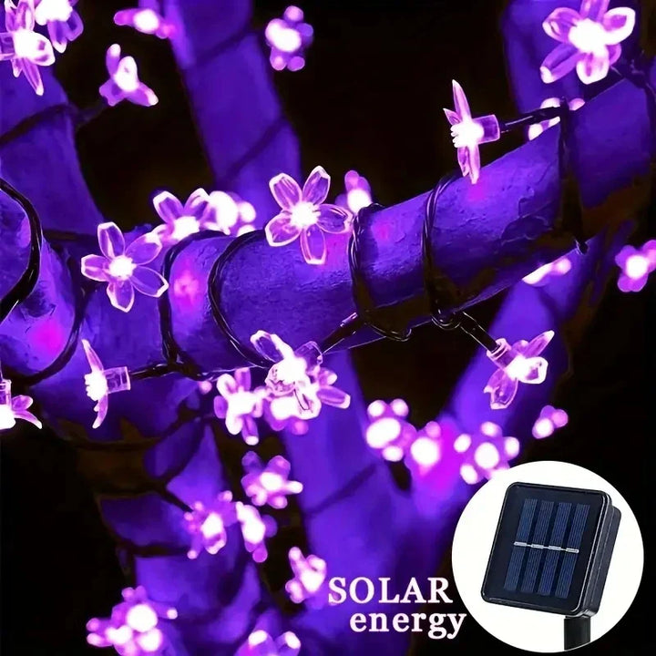 Guirlande lumineuse solaire LumiCord | Lumière LED blanc chaud | Économique en énergie & Résistante aux intempéries | Pour jardin, balcon & fêtes