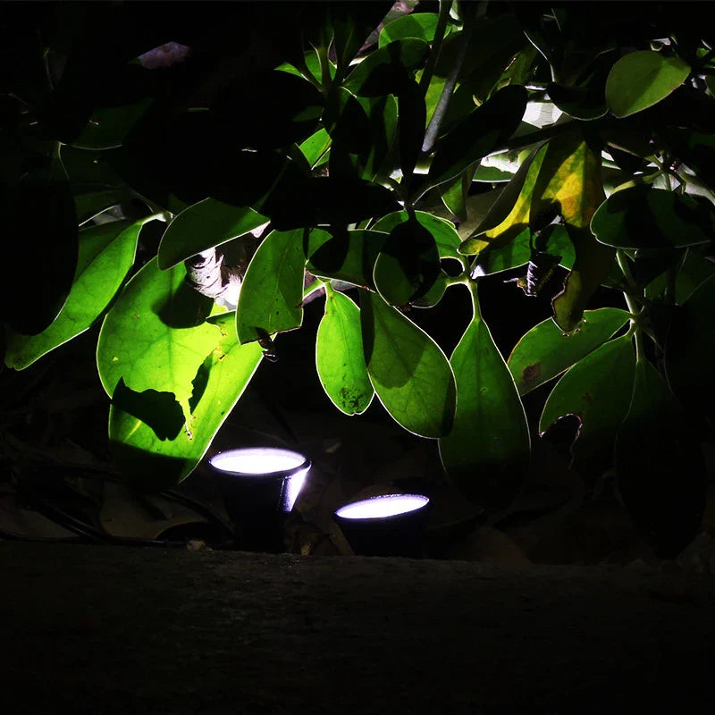 LumiVerde Solar-Gartenlicht | Système LED 10-en-1 | Changement de couleur RGB | Étanche IP65 | Pour pelouse, parterres et décoration