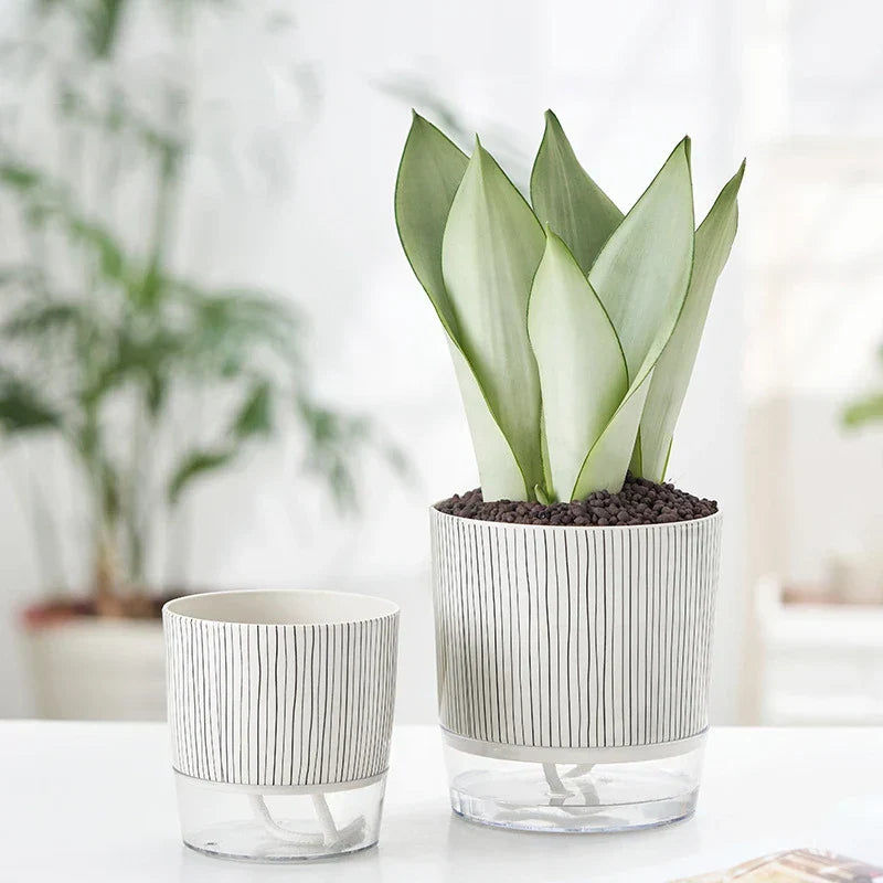FLORANO Pot de Fleurs | Plastique avec Réserve d'Eau | Amovible | Design Ice-Crack & Zebra