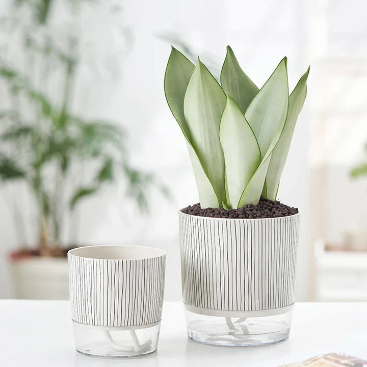 FLORANO Pot de Fleurs | Plastique avec Réserve d'Eau | Amovible | Design Ice-Crack & Zebra