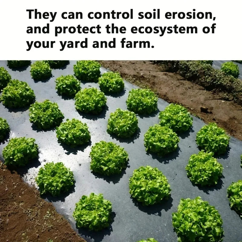 AgroShield Tissu de désherbage | Film de paillage noir | Protection des plantes & Augmentation des rendements | Idéal pour les serres