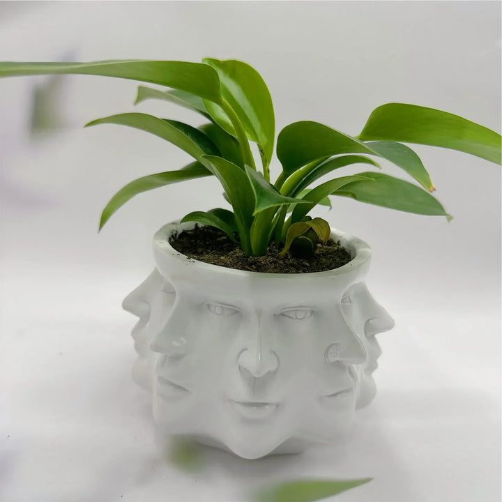 Pot de fleurs VISAGIO | Design de visage 3D | Accessoire de décoration artistique | 12,5 x 10,5 cm | Pour plantes d'intérieur & déco