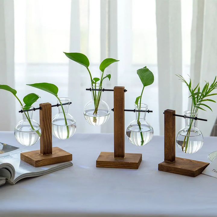 Vase en verre Naturiva Design avec cadre en bois | Pour fleurs coupées & hydroponie | Style scandinave | Ensemble de 3 pièces