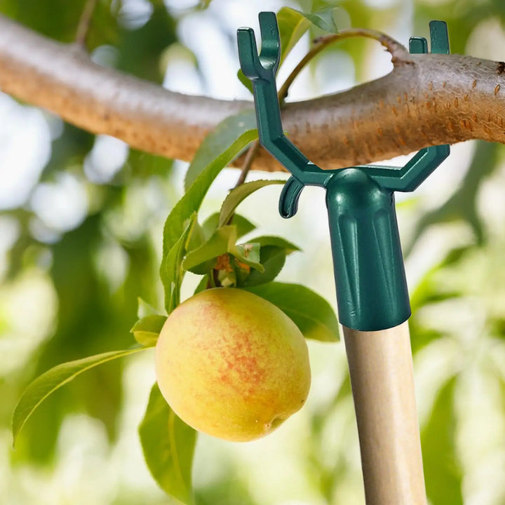 Planturax Ensemble de 5 Supports de Branche en Métal | Supports Réglables pour Arbres Fruitiers & Plantes Grimpantes | Résistant à la Rouille & Réutilisable | 10 × 6 cm