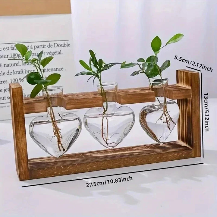 Vase Hydroponique Virella | Verre en forme de cœur dans un cadre en bois | Décoratif & Moderne | Pour boutures & plantes d'intérieur