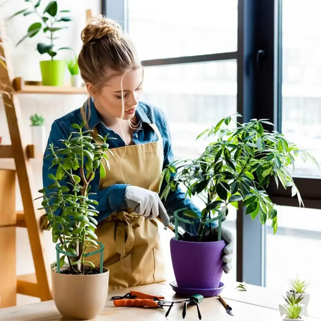 Support de Plantes Floriva | Stable & Réutilisable | Pour Fleurs & Serre