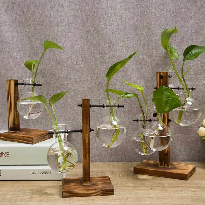 Vase en verre Naturiva Design avec cadre en bois | Pour fleurs coupées & hydroponie | Style scandinave | Ensemble de 3 pièces