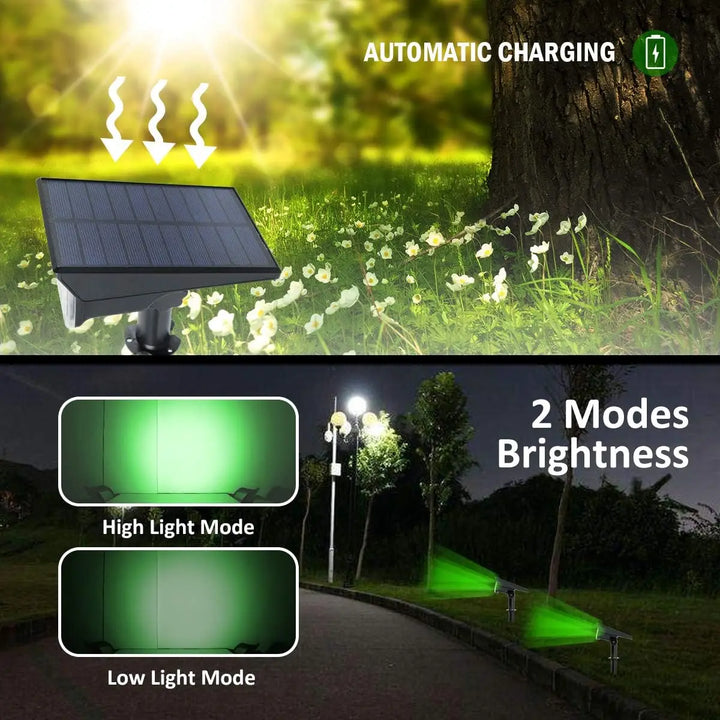 Ensemble de Projecteurs Solaires LumiRay 4 pièces | Étanche IP65 | Capteur de crépuscule automatique | Éclairage paysager LED