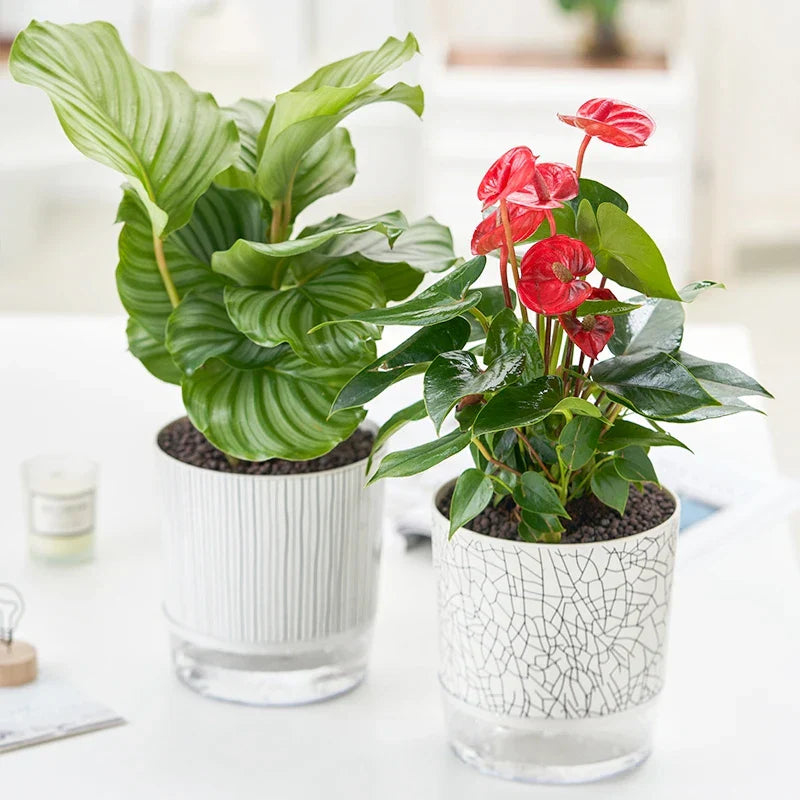 FLORANO Pot de Fleurs | Plastique avec Réserve d'Eau | Amovible | Design Ice-Crack & Zebra