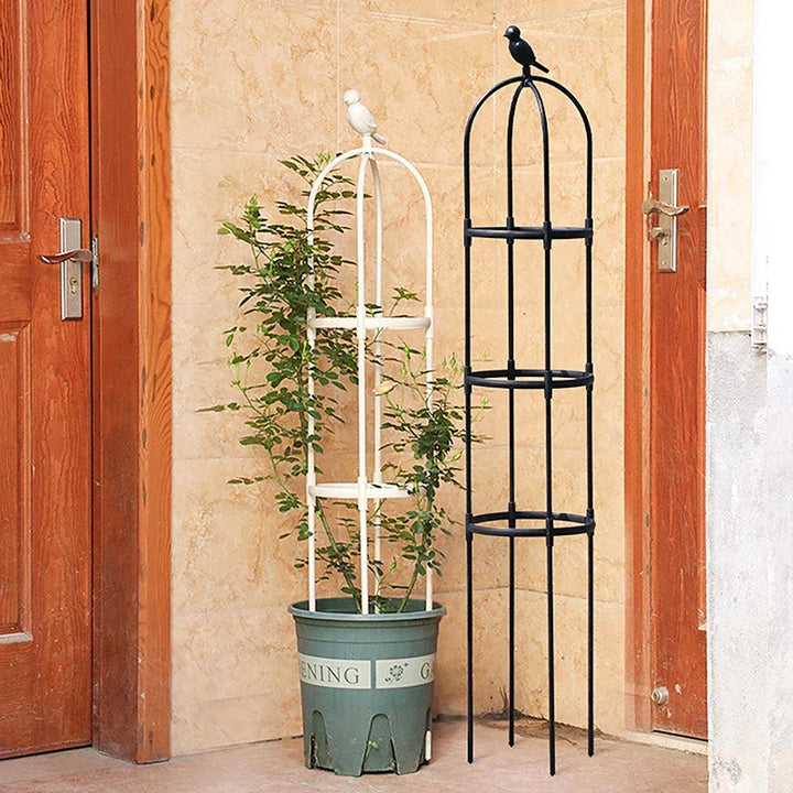 GrowArc Jardin | Support de plantes en fibre de verre | Stable & Résistant aux intempéries | Pour plantes grimpantes & légumes