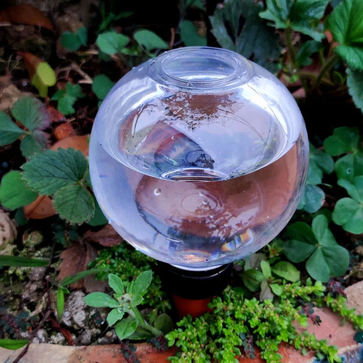 FLORABLU SmartDrip | Arroseur automatique pour plantes | 300 ml | Pour plantes d'intérieur et de balcon
