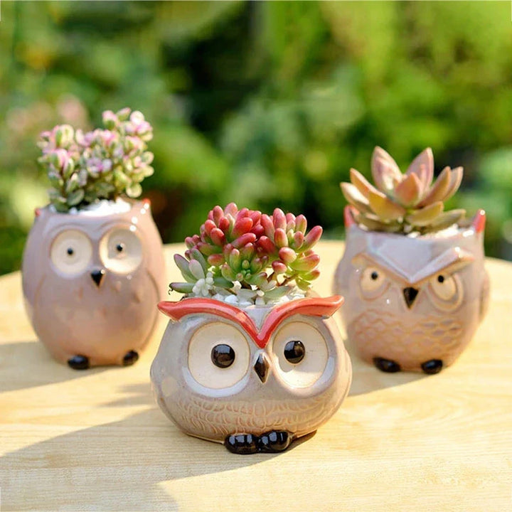Owlivia | Pot de fleurs en céramique Hibou | Pour succulentes et cactus | Décoration & idée cadeau