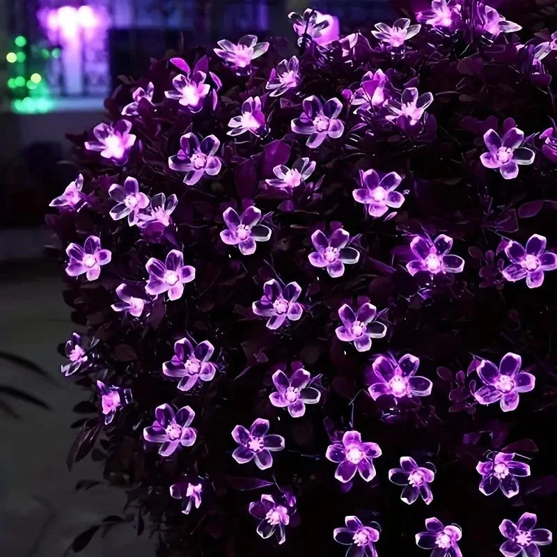 Guirlande lumineuse solaire LumiCord | Lumière LED blanc chaud | Économique en énergie & Résistante aux intempéries | Pour jardin, balcon & fêtes