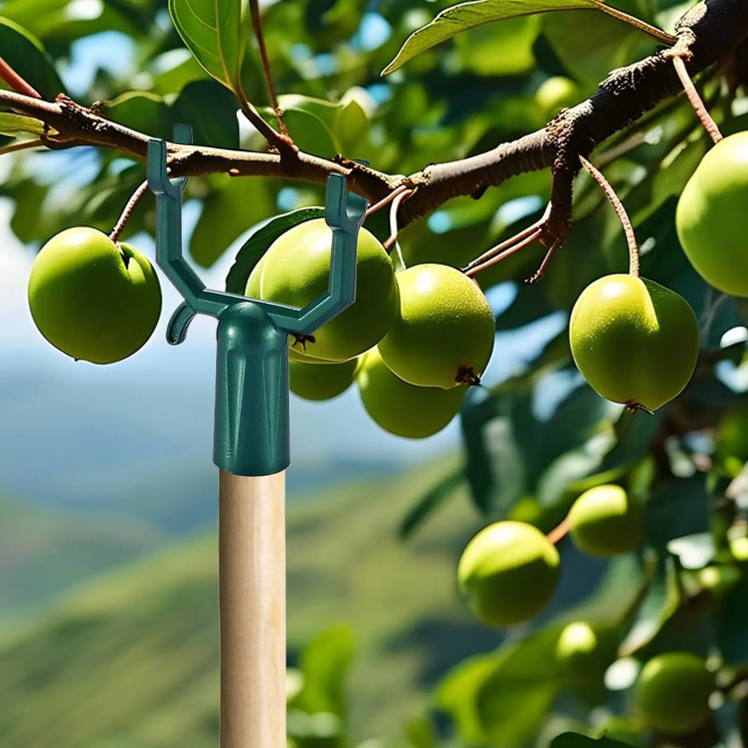 Planturax Ensemble de 5 Supports de Branche en Métal | Supports Réglables pour Arbres Fruitiers & Plantes Grimpantes | Résistant à la Rouille & Réutilisable | 10 × 6 cm