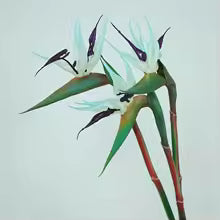 Floriva Ensemble de 3 Fleurs Artificielles de Strelitzia | Fleurs Oiseau de Paradis | Tiges de 24,5 cm | Décoration pour la Maison, Bureau & Événements