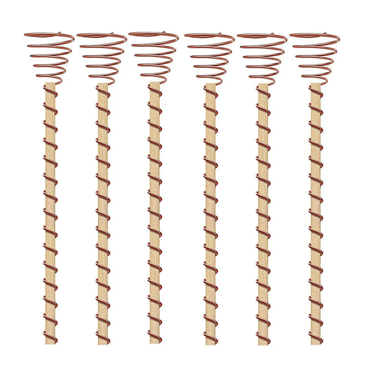 VerdoraFlux Électroculture Antennes de Plantes | Tiges de Croissance en Cuivre pour Jardins & Plantes en Pot | Promotion de la Croissance des Plantes sans Engrais