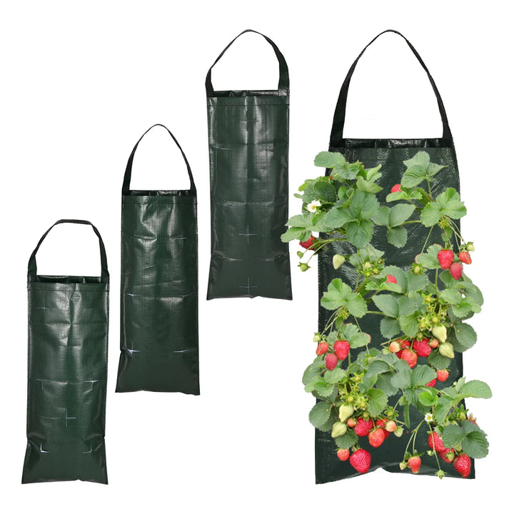 VertiBloom Sac de plantation mural pour fraises & herbes | 6/8/10 poches | Sac de plantation vertical en PE pour intérieur & extérieur