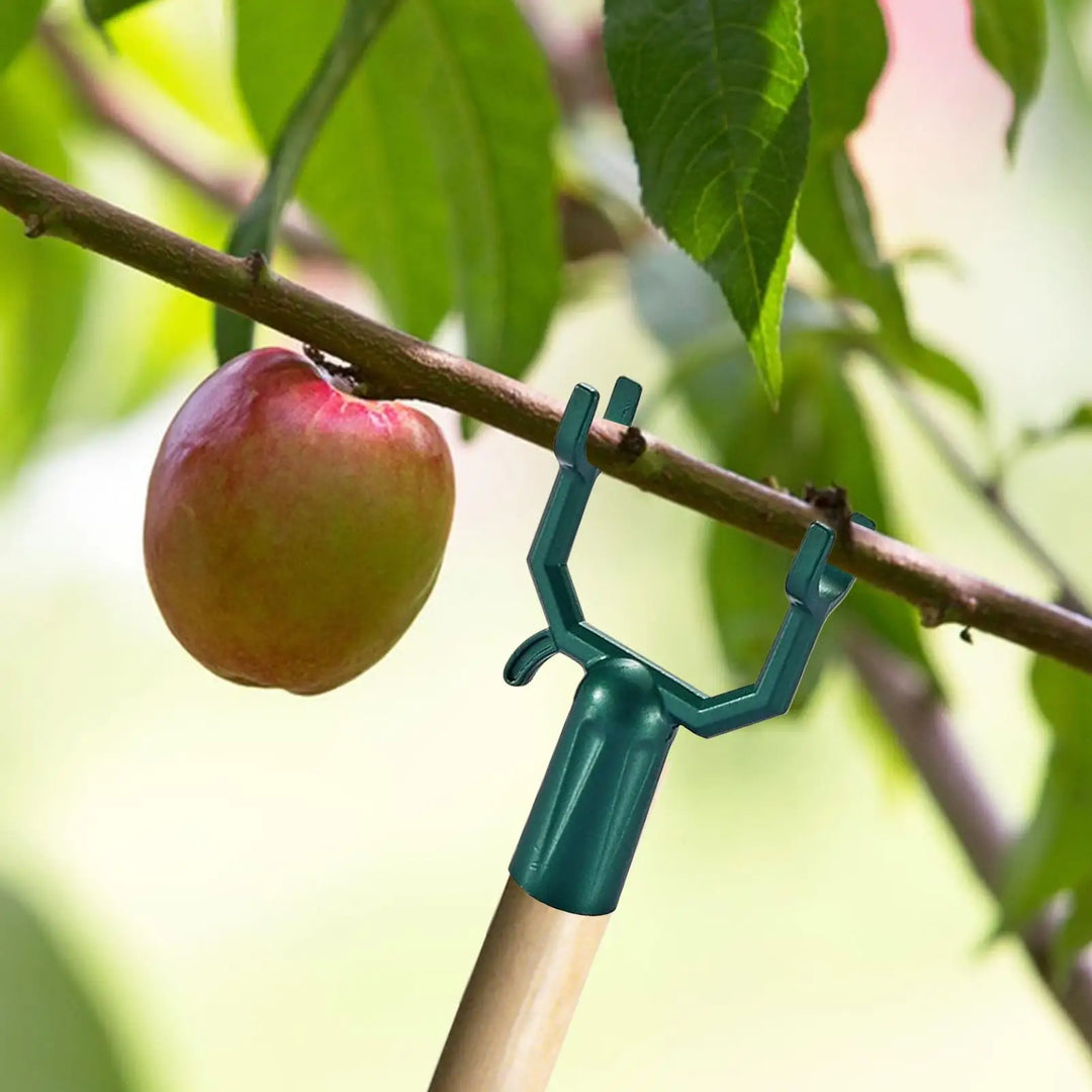 Planturax Ensemble de 5 Supports de Branche en Métal | Supports Réglables pour Arbres Fruitiers & Plantes Grimpantes | Résistant à la Rouille & Réutilisable | 10 × 6 cm