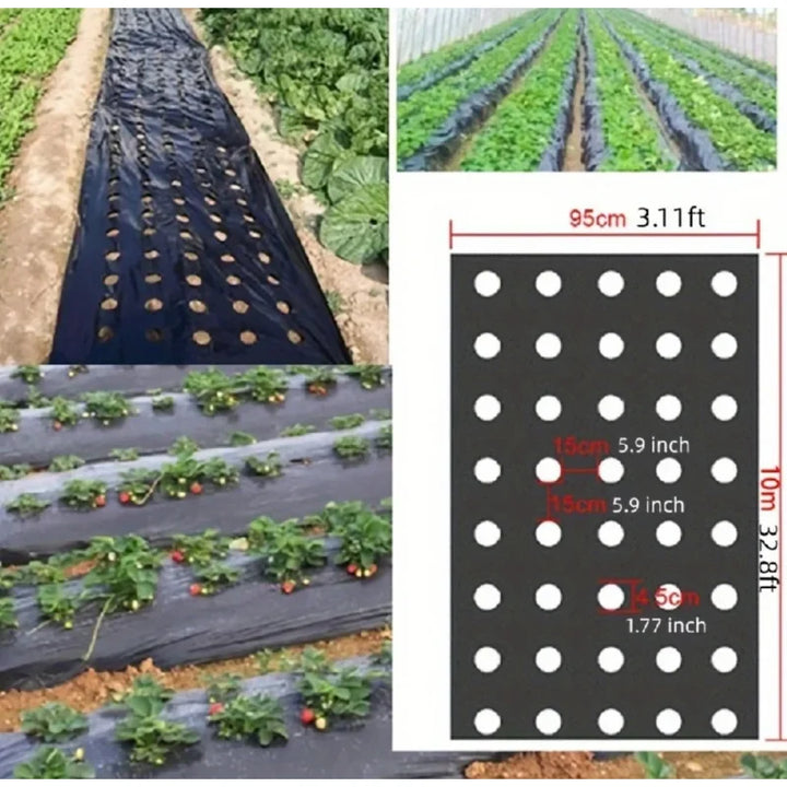 AgroShield Tissu de désherbage | Film de paillage noir | Protection des plantes & Augmentation des rendements | Idéal pour les serres