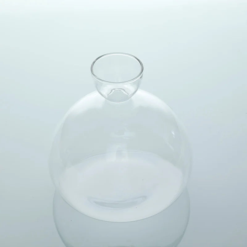 Vase Avocat en Verre | Verre de Germination Transparent | Contenant pour la Culture d'Avocat | 10–15 cm