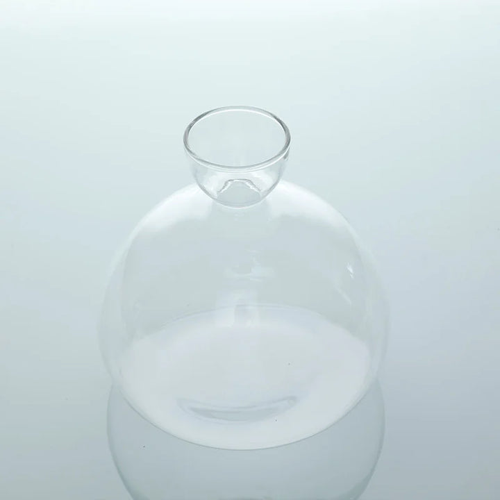 Vase Avocat en Verre | Verre de Germination Transparent | Contenant pour la Culture d'Avocat | 10–15 cm