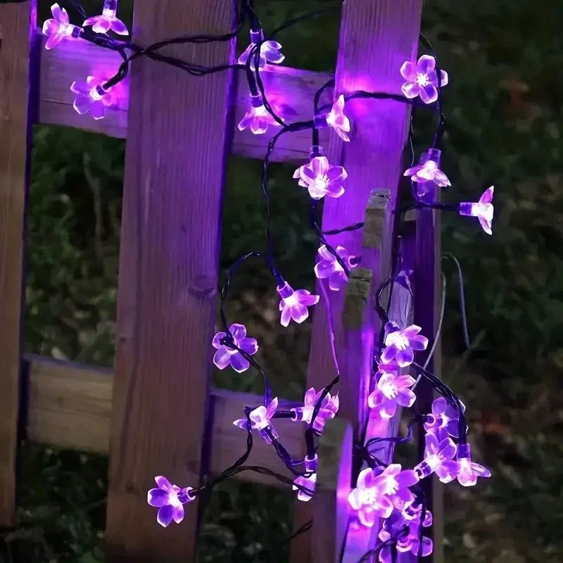 Guirlande lumineuse solaire LumiCord | Lumière LED blanc chaud | Économique en énergie & Résistante aux intempéries | Pour jardin, balcon & fêtes