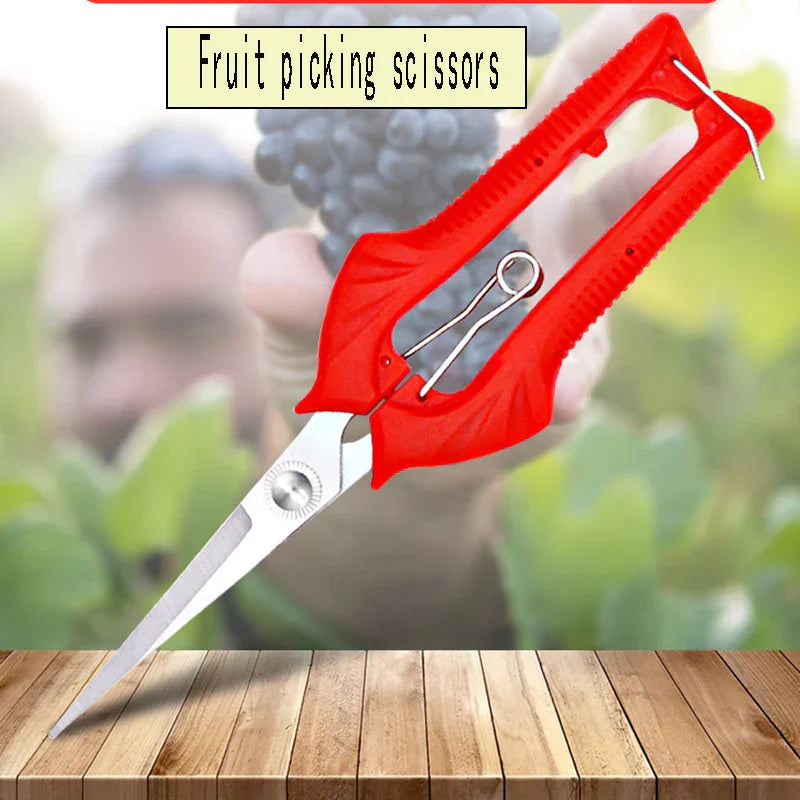 Schnittwerk Sécateur de Jardin | Coupe Précise pour Arbres Fruitiers & Bonsai | Ergonomique & Tranchant | Pour Récolte & Taille