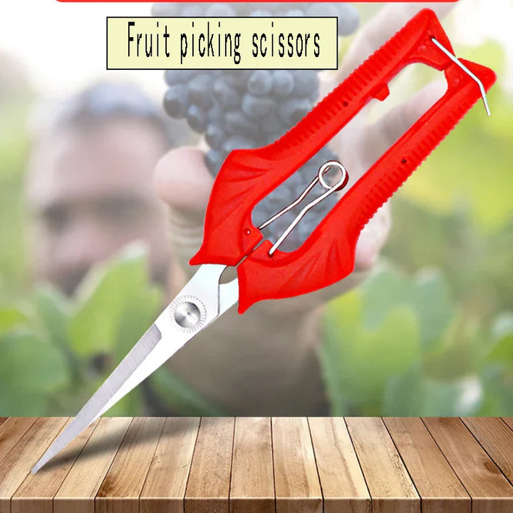 Schnittwerk Sécateur de Jardin | Coupe Précise pour Arbres Fruitiers & Bonsai | Ergonomique & Tranchant | Pour Récolte & Taille
