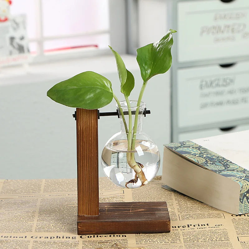 Vase en verre Naturiva Design avec cadre en bois | Pour fleurs coupées & hydroponie | Style scandinave | Ensemble de 3 pièces