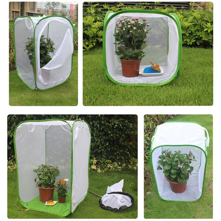 Viventra Habitat Insectes Pliable | Réseau d'élevage & d'observation | Cadre en acier inoxydable | Pour papillons, grillons & vers à soie