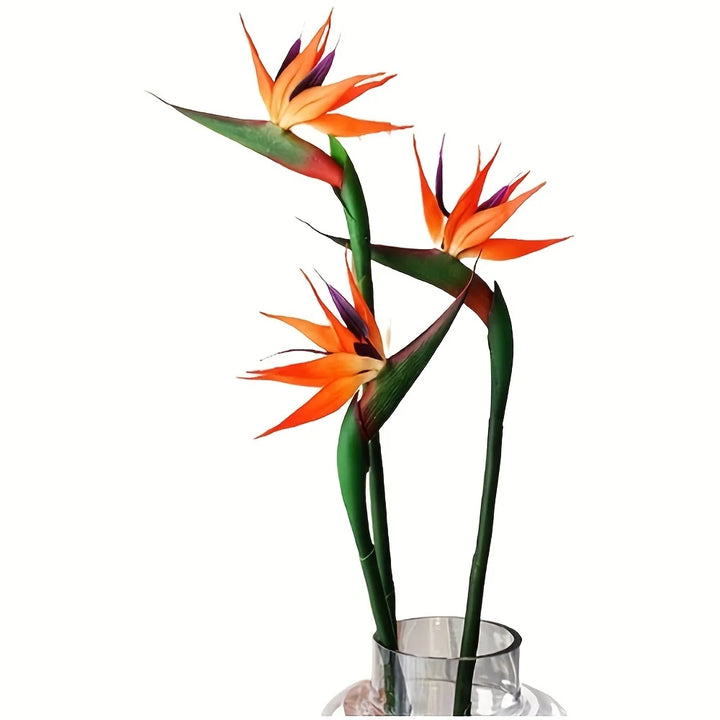 Floriva Ensemble de 3 Fleurs Artificielles de Strelitzia | Fleurs Oiseau de Paradis | Tiges de 24,5 cm | Décoration pour la Maison, Bureau & Événements
