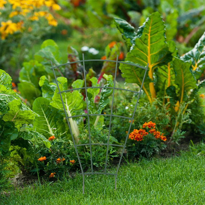 Ensemble de support à grimper Floranta 3 pièces | Pour pots de fleurs & légumes | Stable & Décoratif | Vert