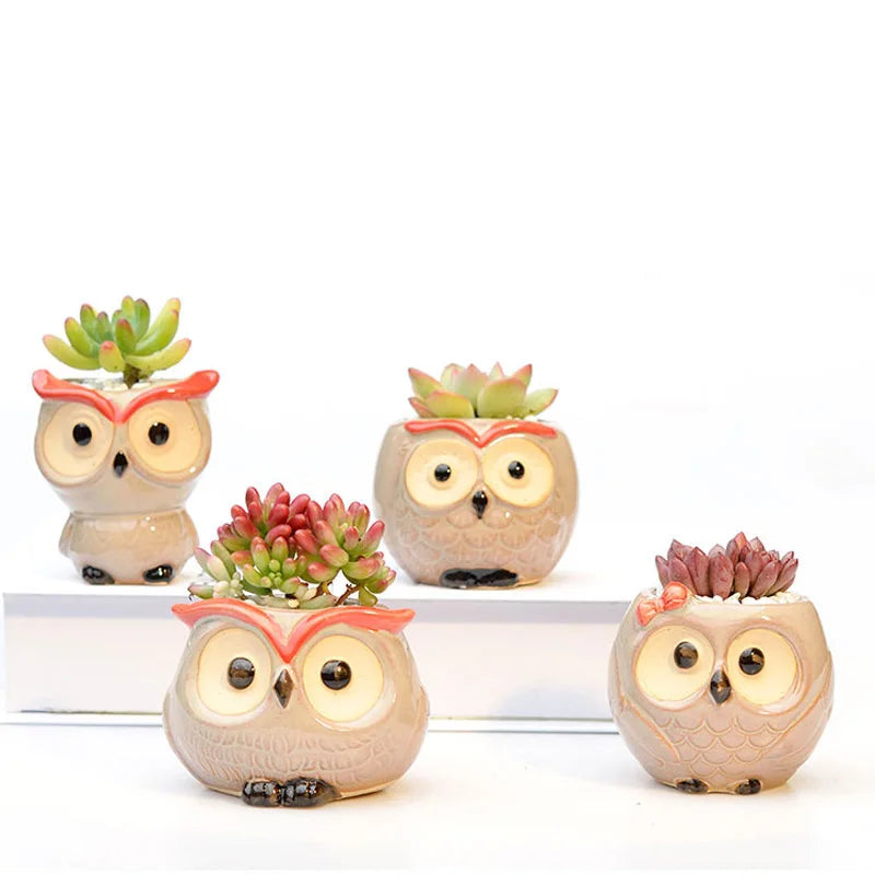 Owlivia | Pot de fleurs en céramique Hibou | Pour succulentes et cactus | Décoration & idée cadeau