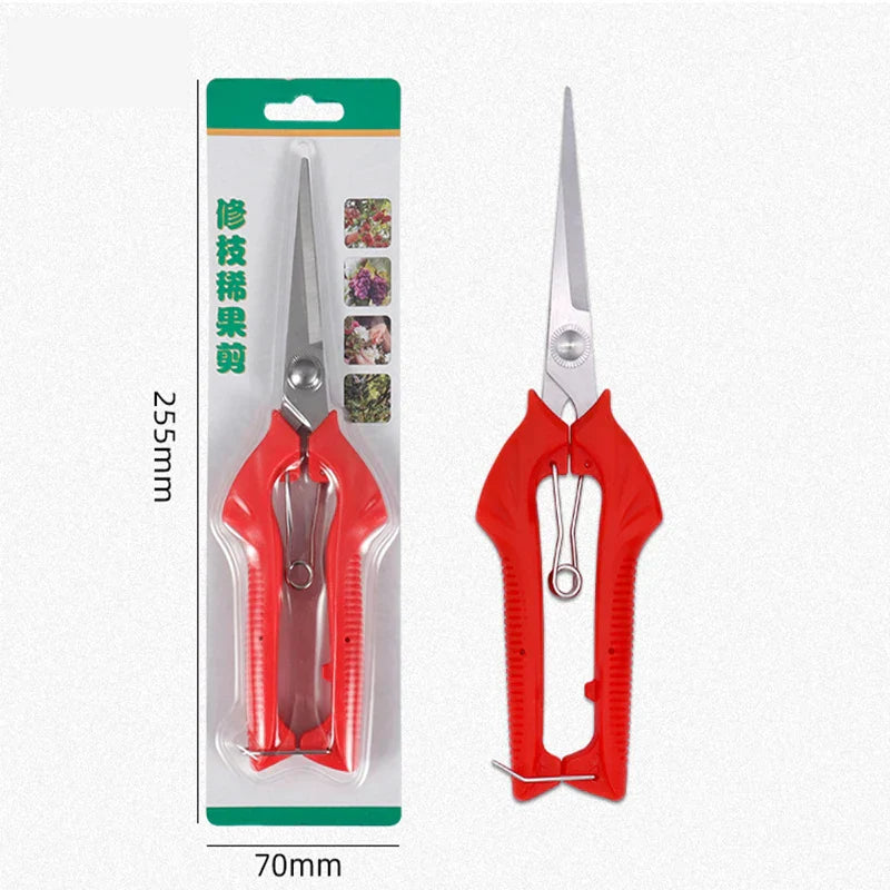 Schnittwerk Sécateur de Jardin | Coupe Précise pour Arbres Fruitiers & Bonsai | Ergonomique & Tranchant | Pour Récolte & Taille