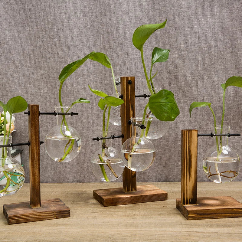 Vase en verre Naturiva Design avec cadre en bois | Pour fleurs coupées & hydroponie | Style scandinave | Ensemble de 3 pièces
