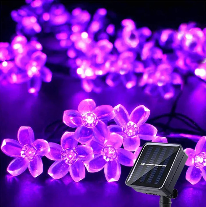 LumiSola Guirlande lumineuse solaire | 20–100 LEDs | Blanc chaud, Blanc ou RGB | 8 modes | Pour jardin & balcon | 5–12m