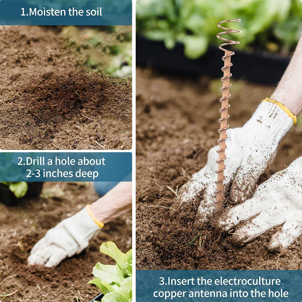 VerdoraFlux Électroculture Antennes de Plantes | Tiges de Croissance en Cuivre pour Jardins & Plantes en Pot | Promotion de la Croissance des Plantes sans Engrais