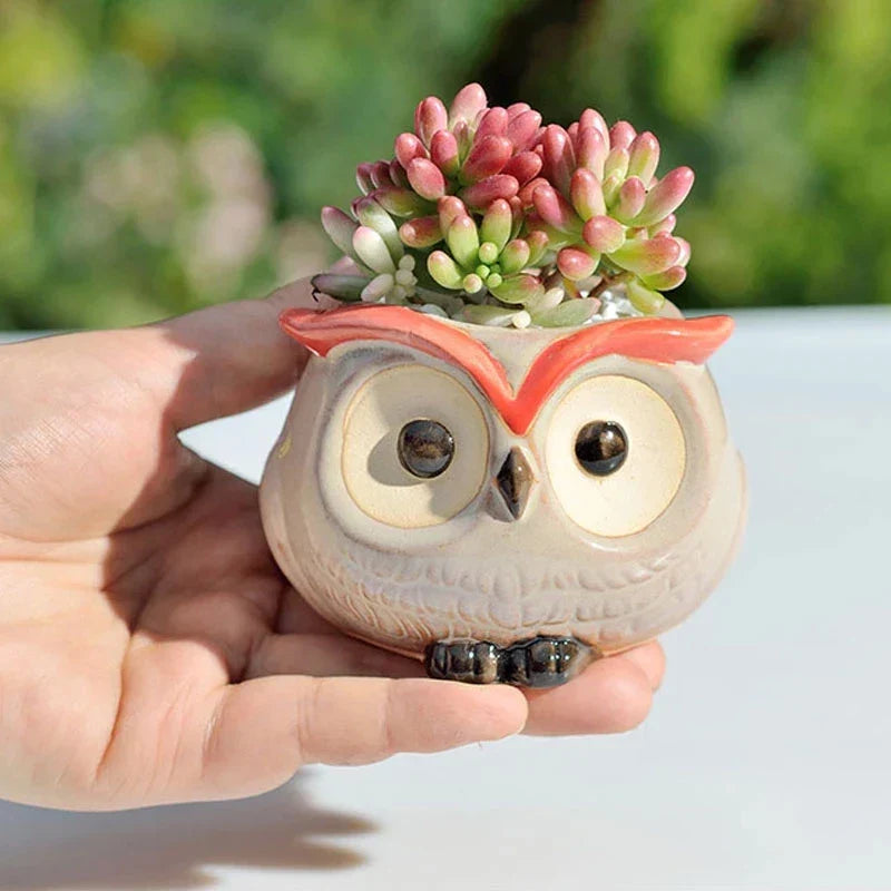 Owlivia | Pot de fleurs en céramique Hibou | Pour succulentes et cactus | Décoration & idée cadeau
