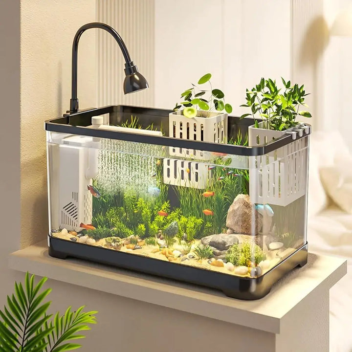 1+1 GRATUIT | TankBloom – Beauté naturelle sans entretien !