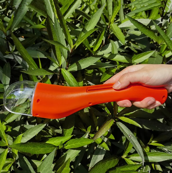 BugWhisper – Le sauveur d'insectes doux !