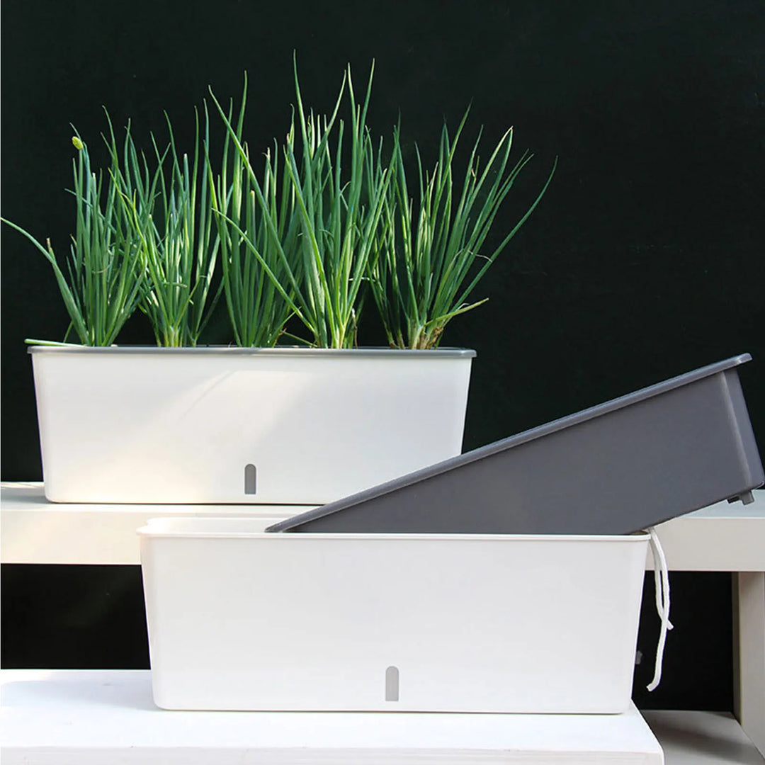 AquaBloom | Pot de fleurs auto-arrosant | Avec indicateur de niveau d'eau | 43,5 × 12 × 11 cm