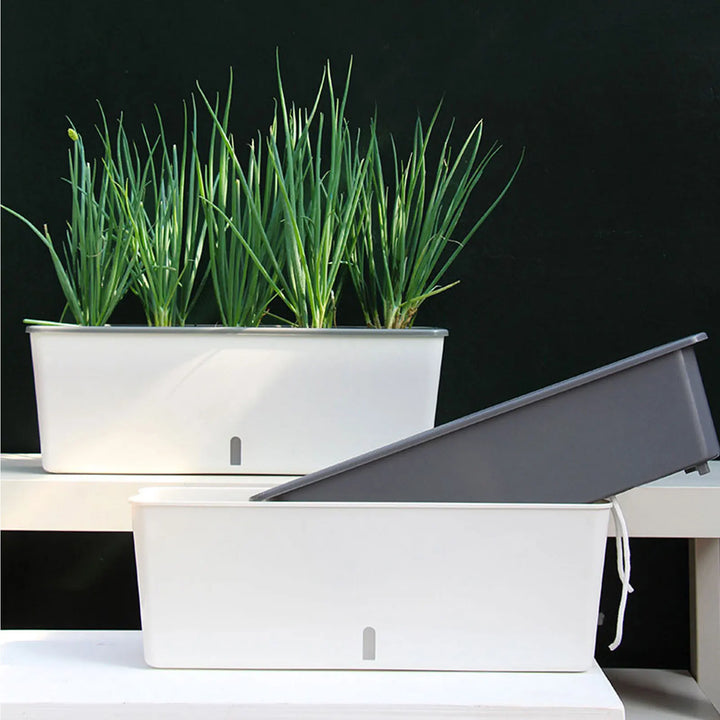 AquaBloom | Pot de fleurs auto-arrosant | Avec indicateur de niveau d'eau | 43,5 × 12 × 11 cm