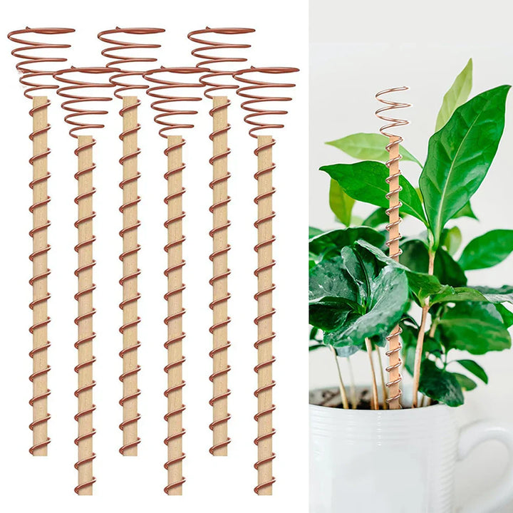 VerdoraFlux Électroculture Antennes de Plantes | Tiges de Croissance en Cuivre pour Jardins & Plantes en Pot | Promotion de la Croissance des Plantes sans Engrais