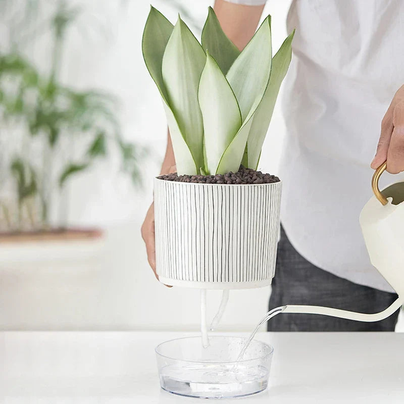 FLORANO Pot de Fleurs | Plastique avec Réserve d'Eau | Amovible | Design Ice-Crack & Zebra