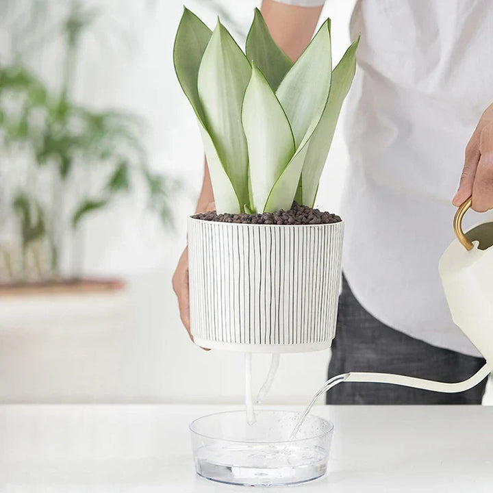 FLORANO Pot de Fleurs | Plastique avec Réserve d'Eau | Amovible | Design Ice-Crack & Zebra