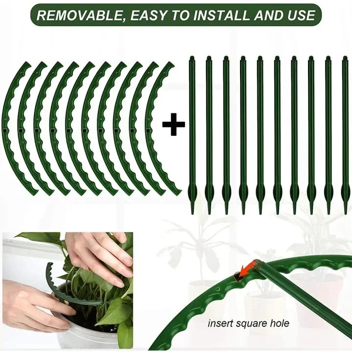 Support de Plantes Floriva | Stable & Réutilisable | Pour Fleurs & Serre