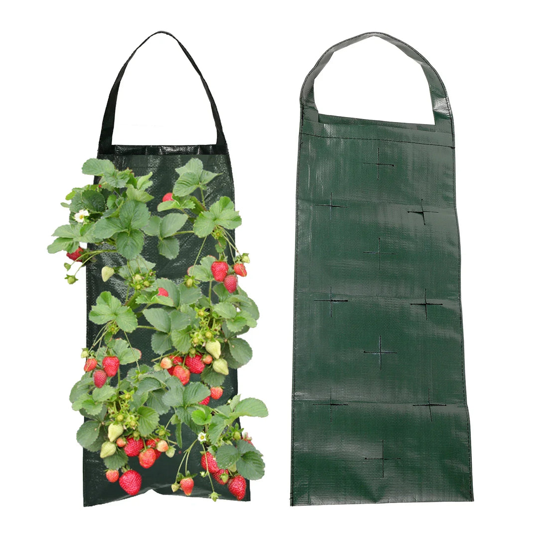 VertiBloom Sac de plantation mural pour fraises & herbes | 6/8/10 poches | Sac de plantation vertical en PE pour intérieur & extérieur