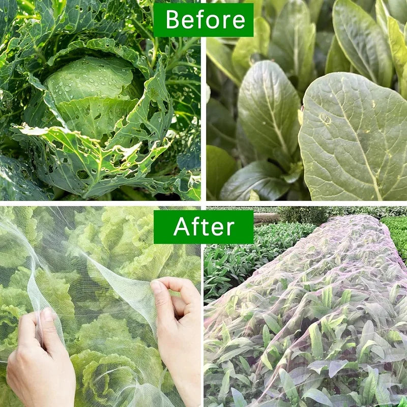 Naturaviso Filet de Jardin Insectes Protection | Résistant aux UV & Antirupture | Filet de protection des plantes contre les nuisibles & oiseaux